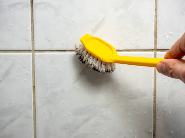 Best Black Mold Remediation in Woodinville, WA
