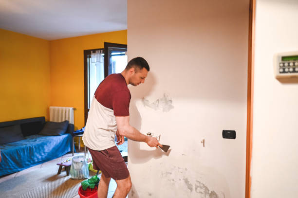 Best HVAC Mold Remediation in Woodinville, WA